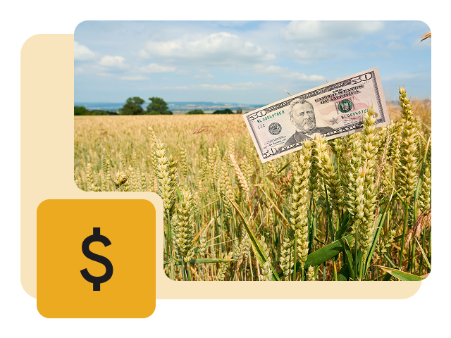 Agriculture Costing Agriculture Costing