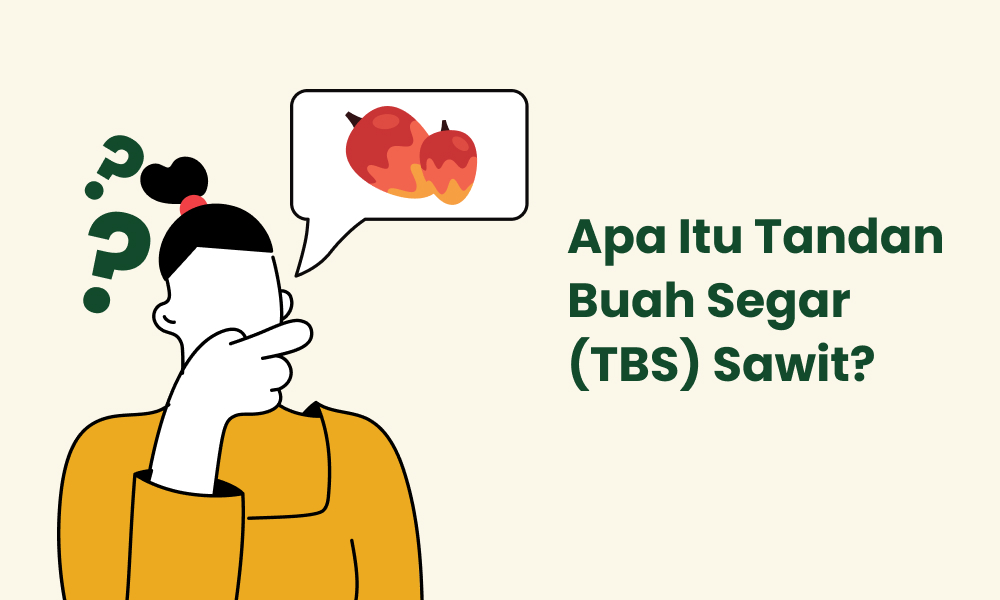 Apa Itu Tandan Buah Segar (TBS) Sawit