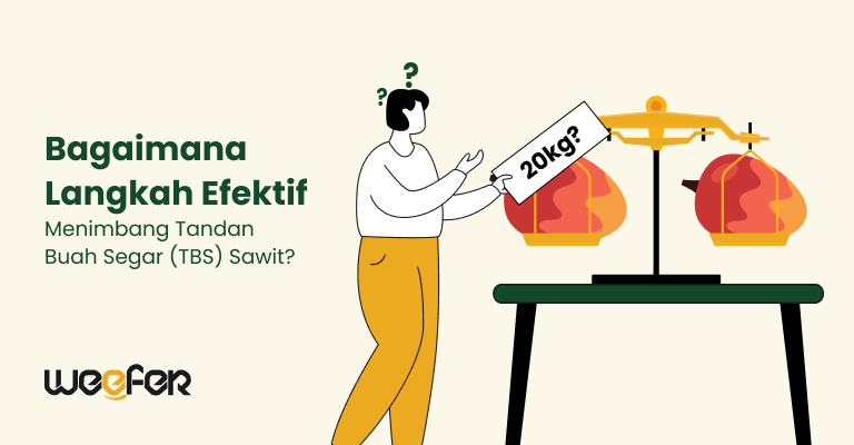 Bagaimana Langkah Efektif Menimbang Tandan Buah Segar (TBS) Sawit