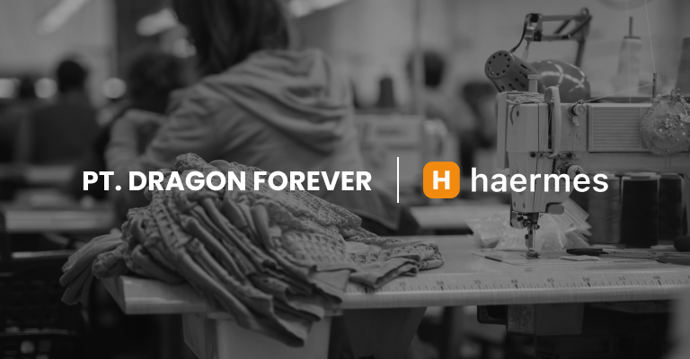 Dragon Forever x Haermes