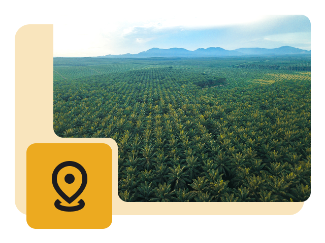 GIS-Based Traceability GIS Based Traceability