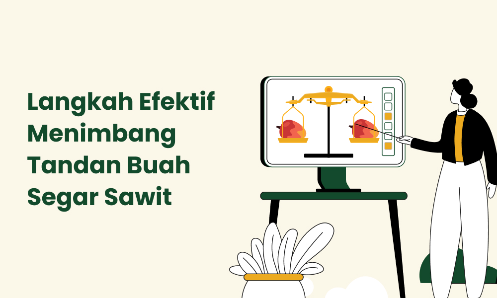 Langkah Efektif Menimbang Tandan Buah Segar Sawit