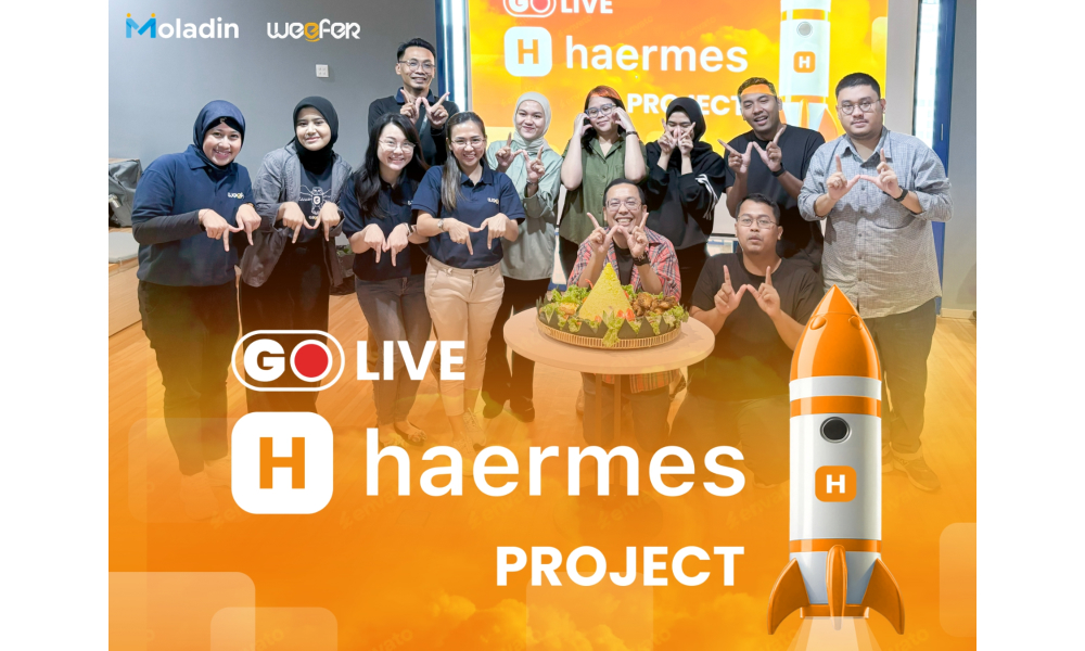 Latar belakang dan Proses Implementasi Haermes HRIS