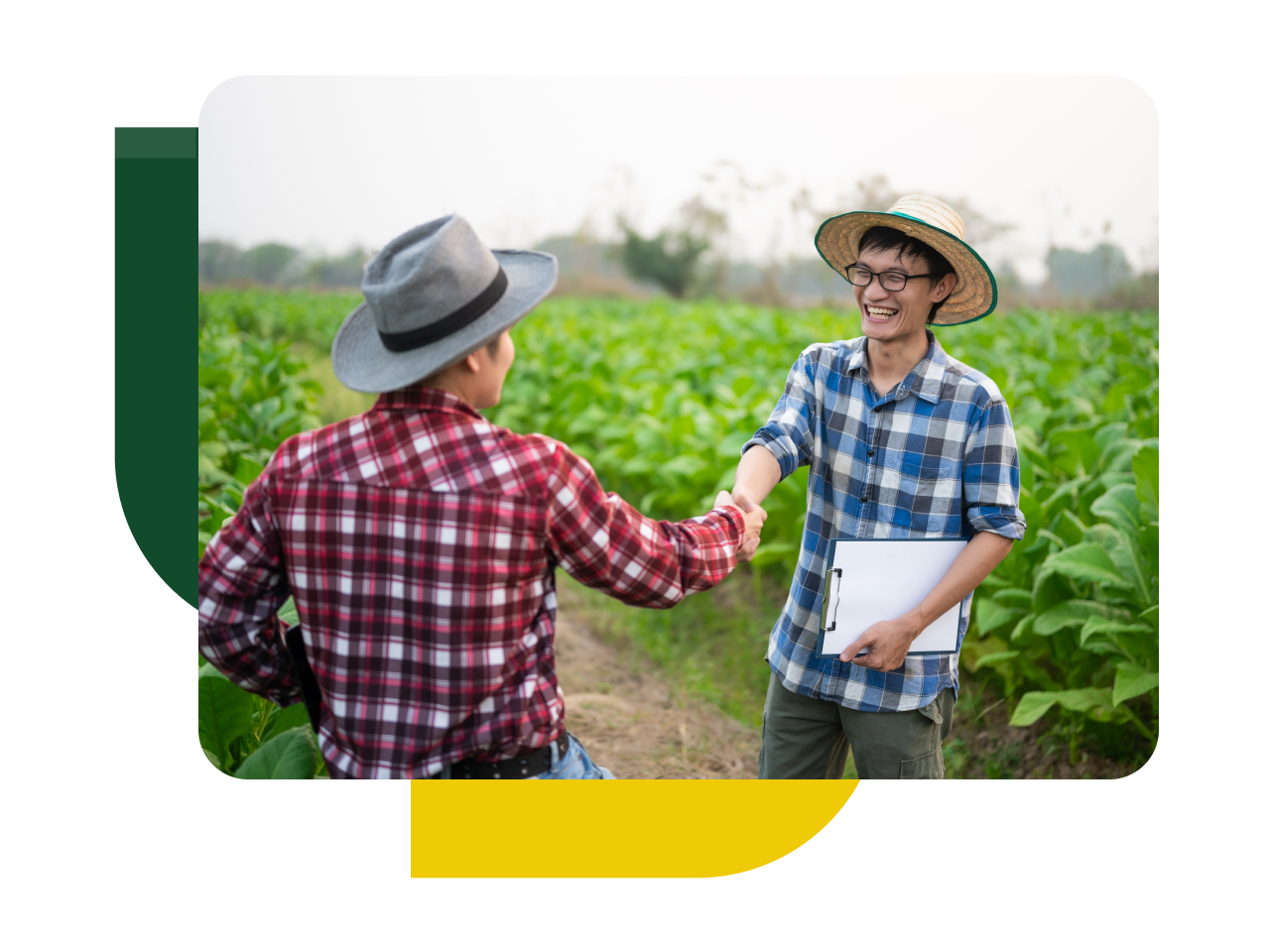 Lebih dari Sekadar Partner SAP. Weefer Juga Adalah Partner Pertambangan Anda.