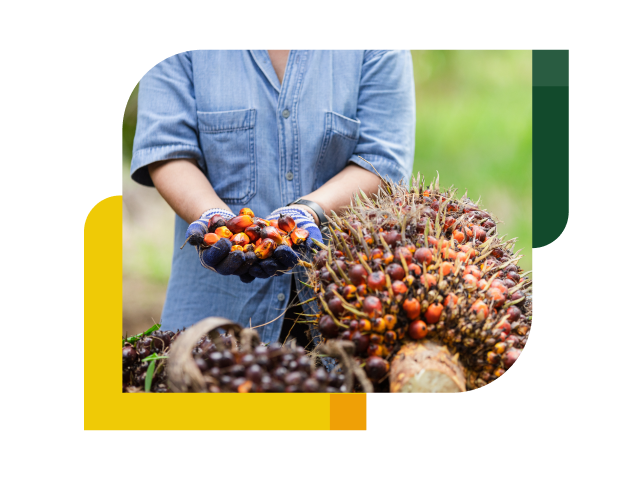 Perkebunan & Agribisnis (Kelapa Sawit) Perkebunan & Agribisnis (Kelapa Sawit)
