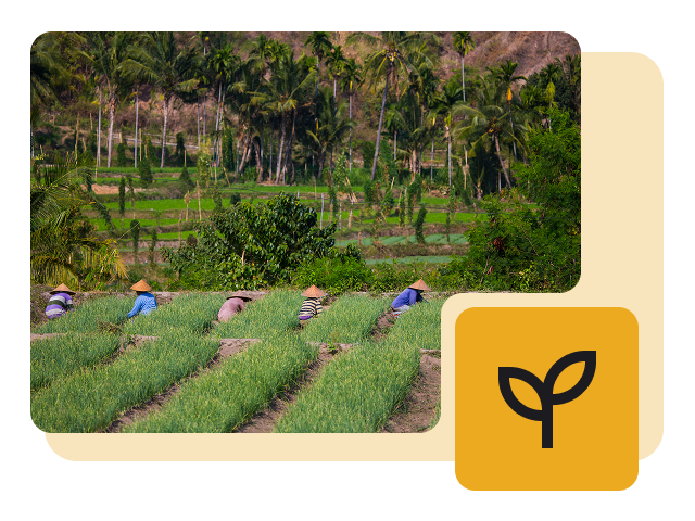 Perkebunan Agribisnis Perkebunan Agribisnis