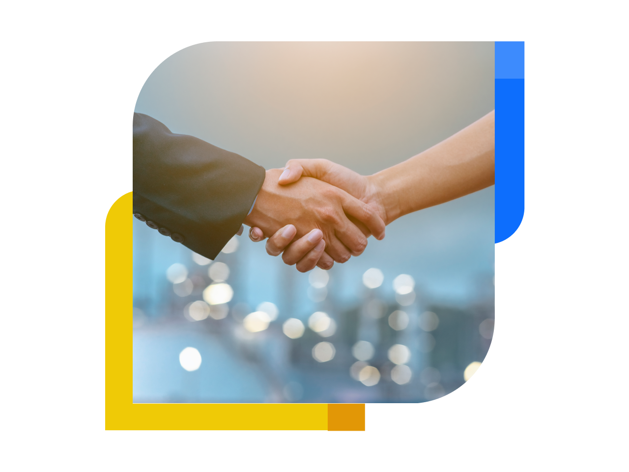 Tier 1 Vendor Partnership