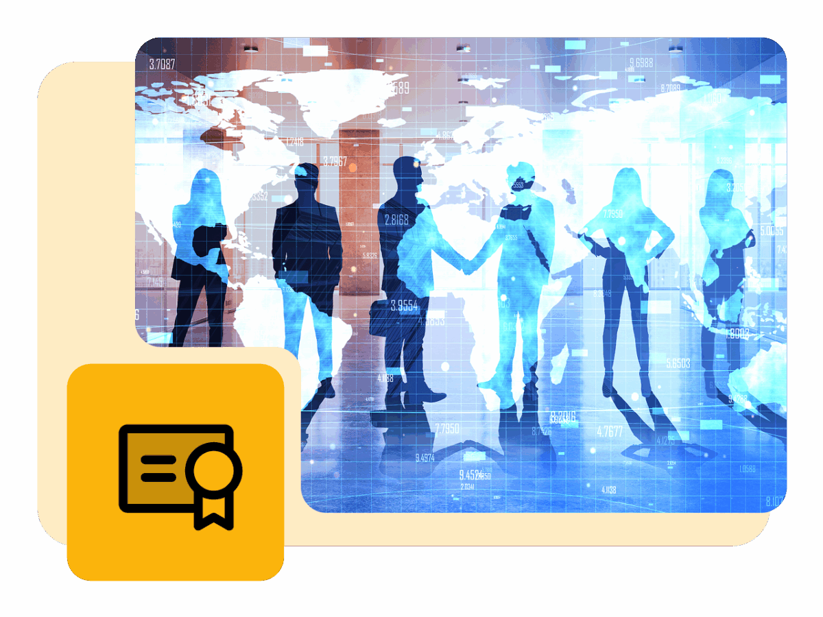 WEEFER: Elite Cybersecurity Consulting Services