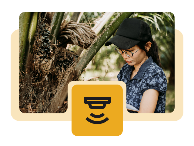 Yield & Productivity Monitoring Yield & Productivity Monitoring