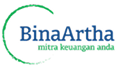 bina-artha