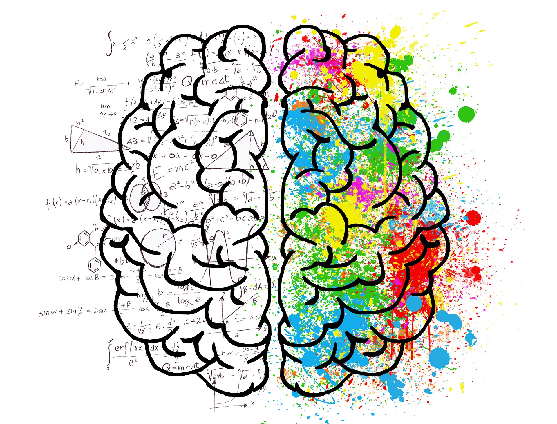 Human Brain