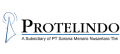 protelindo logo 02