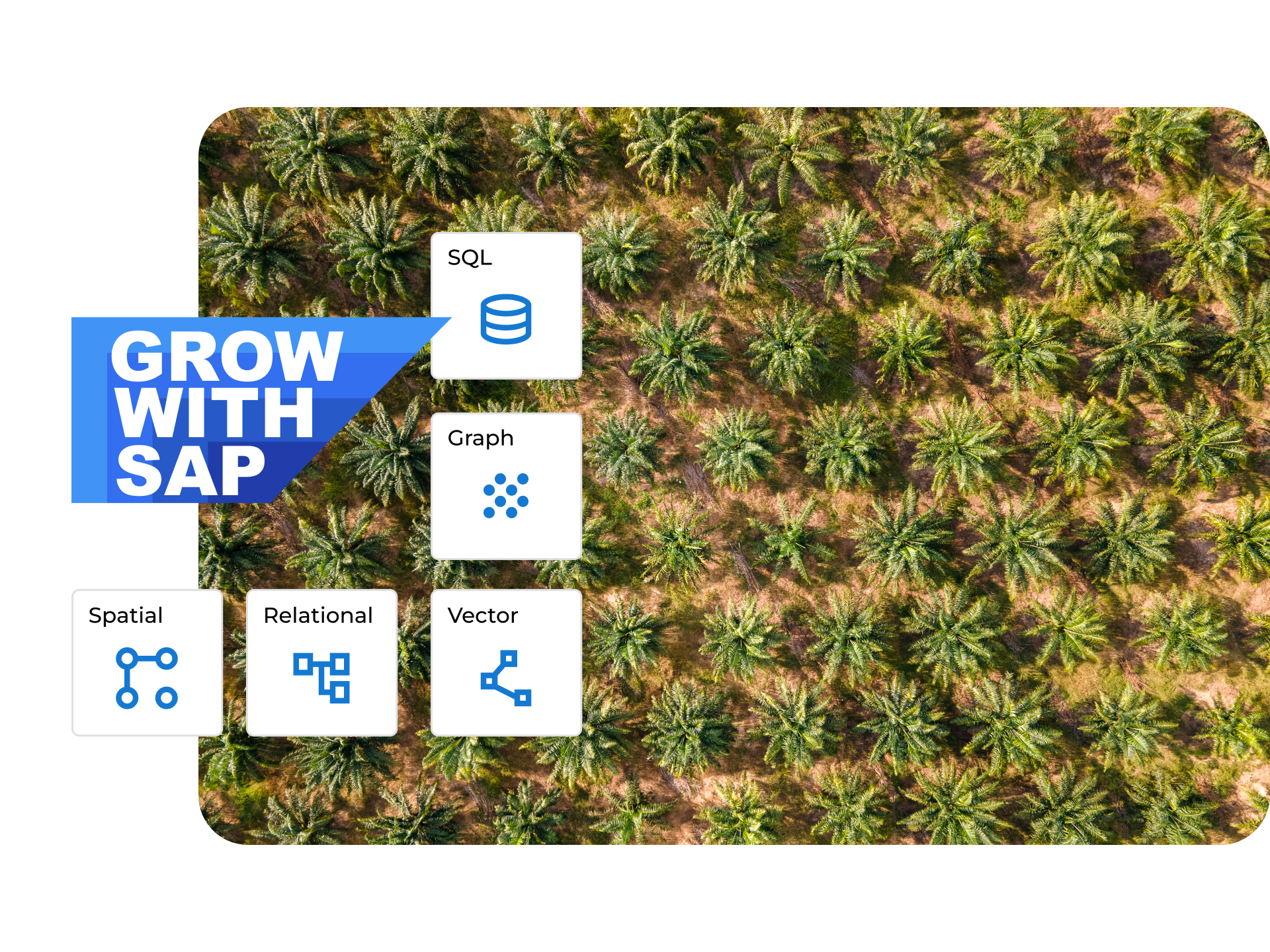 sap hana hero plantation GWS Plantation